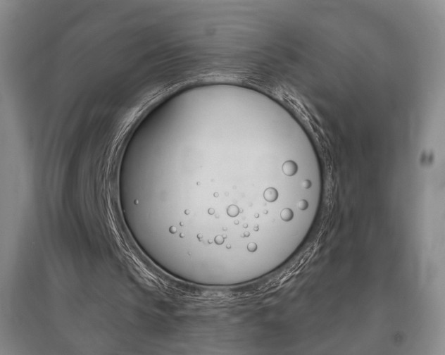 X0000095920145200801110902