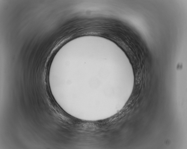 X0000095920146200801110902