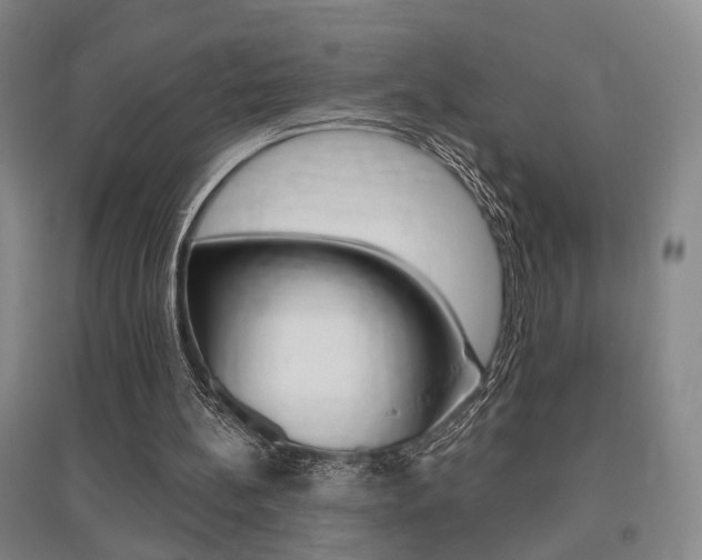 X0000095920148200801110902