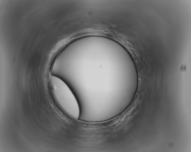 X0000095920149200801110902