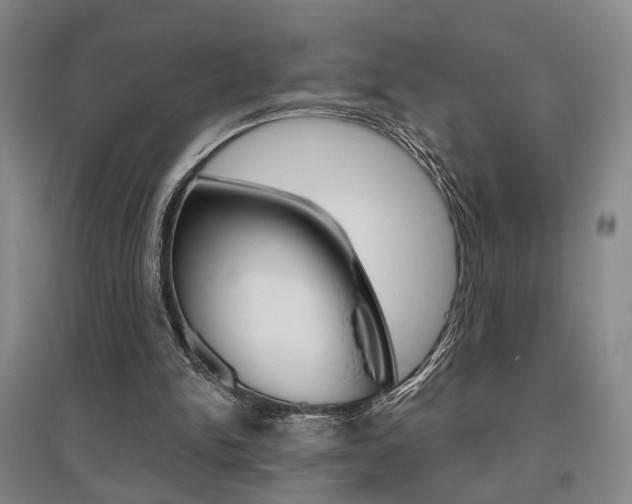 X0000095920150200801110902