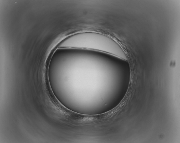 X0000095920152200801110902