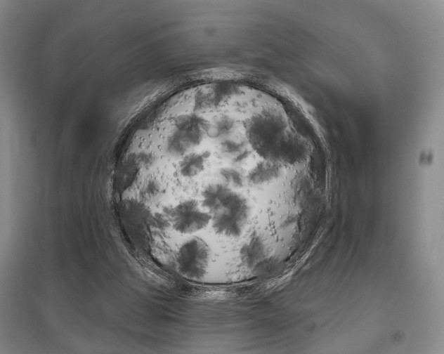 X0000095920153200801110902