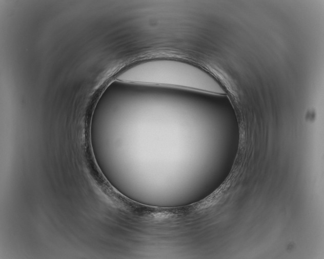 X0000095920158200801110903