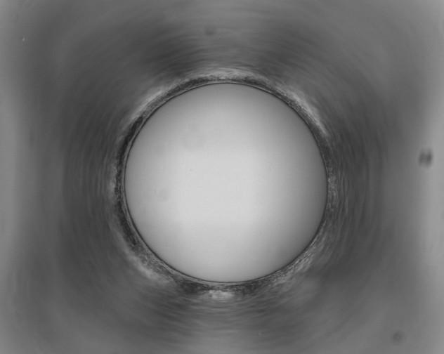 X0000095920159200801110903
