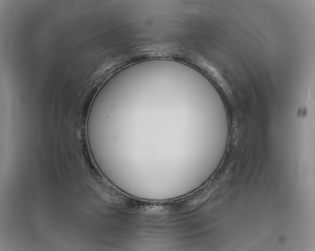 X0000095920161200801110903