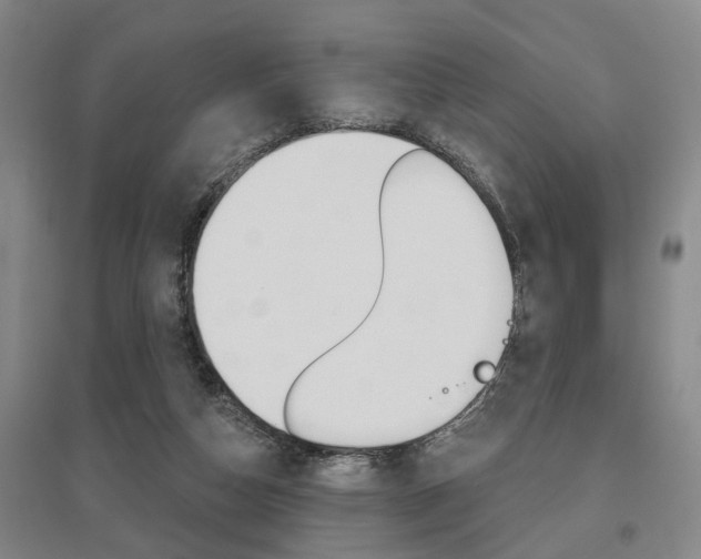 X0000095920162200801110903