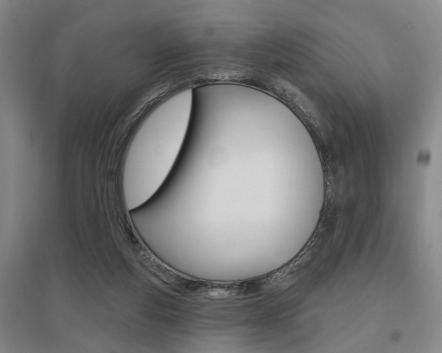 X0000095920163200801110903