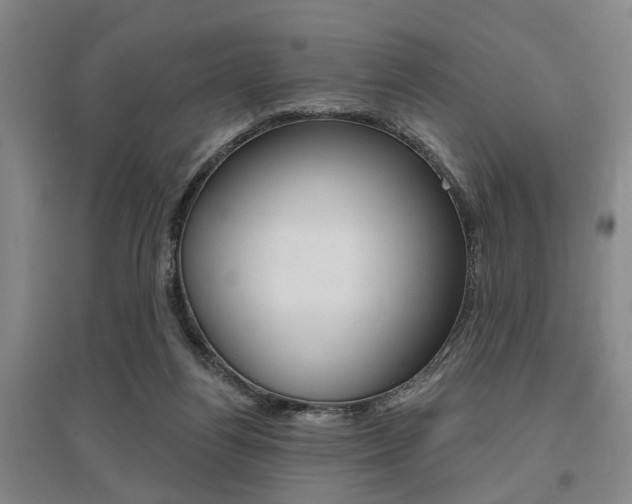 X0000095920164200801110903