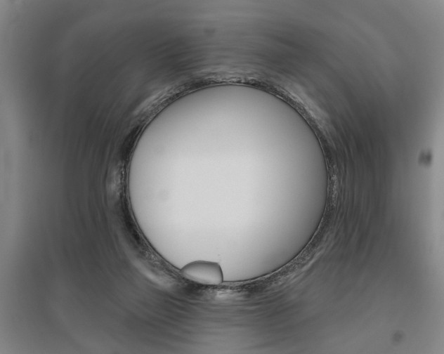 X0000095920165200801110903