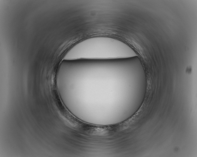 X0000095920166200801110903