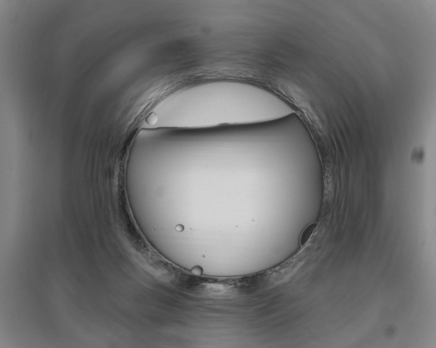 X0000095920167200801110903
