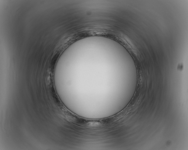 X0000095920169200801110903