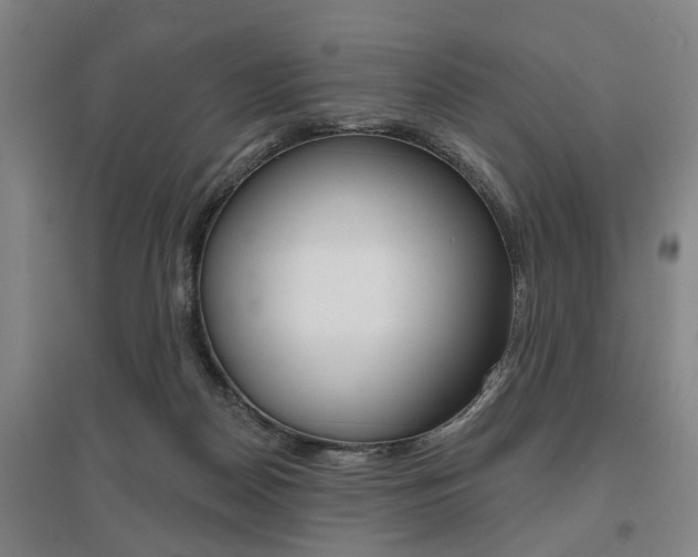 X0000095920170200801110903