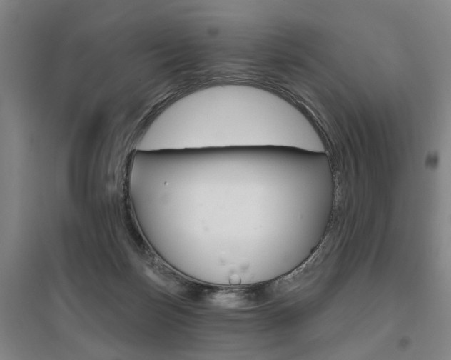 X0000095920171200801110903