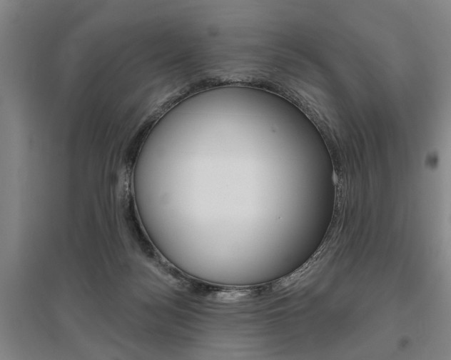 X0000095920172200801110903