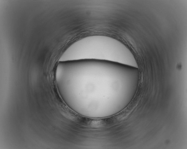 X0000095920173200801110903