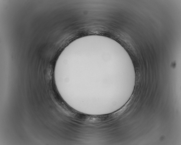X0000095920174200801110903