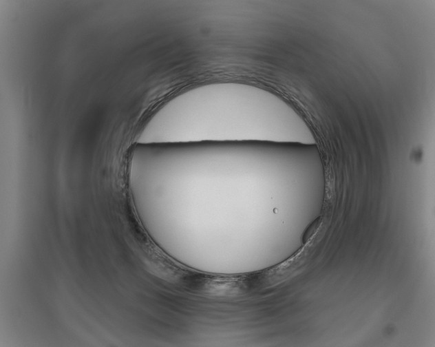 X0000095920175200801110903