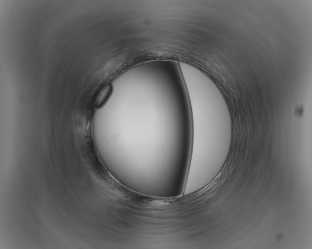 X0000095920176200801110903