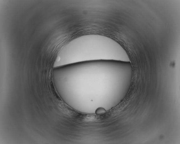 X0000095920177200801110903