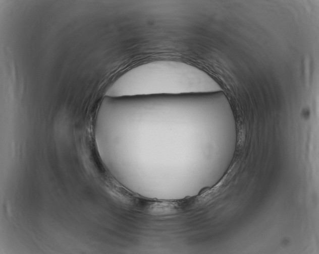 X0000095920179200801110903