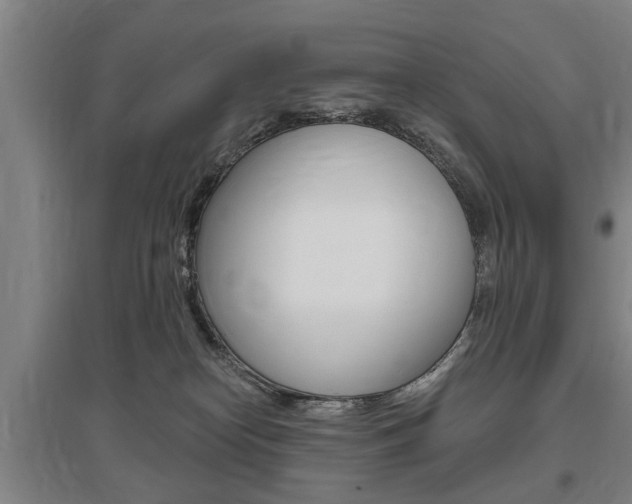 X0000095920182200801110903