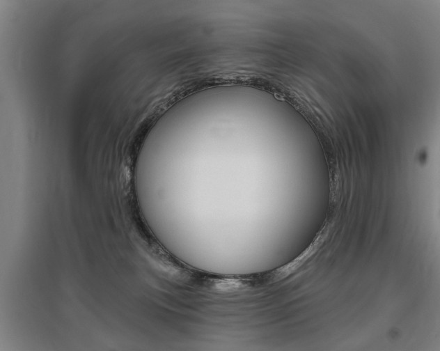 X0000095920183200801110903