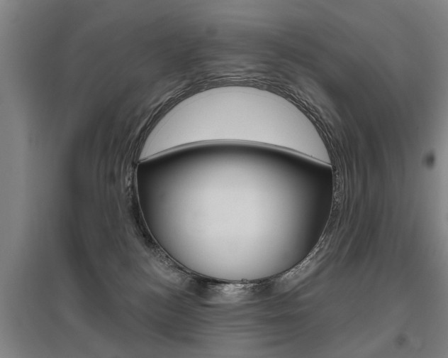X0000095920184200801110903