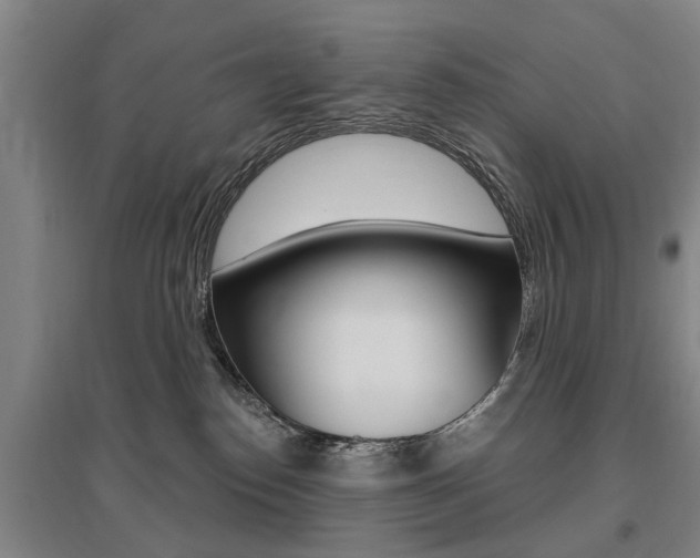 X0000095920186200801110903