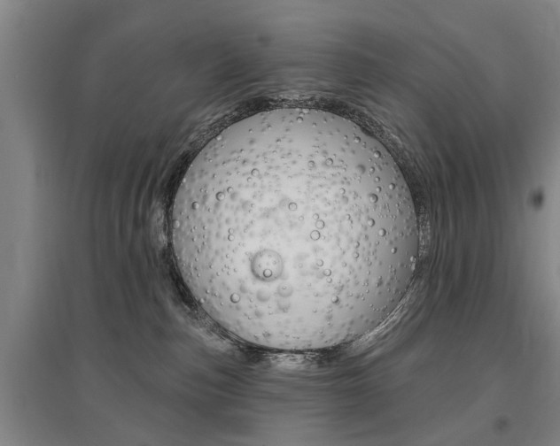 X0000095920187200801110903