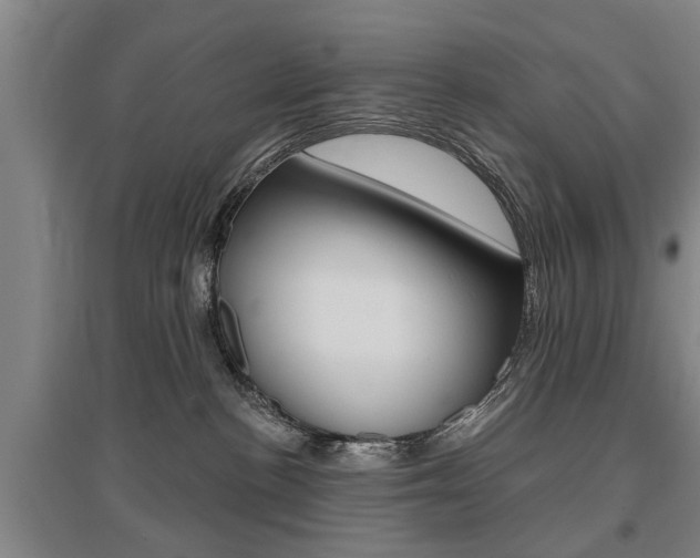 X0000095920188200801110903