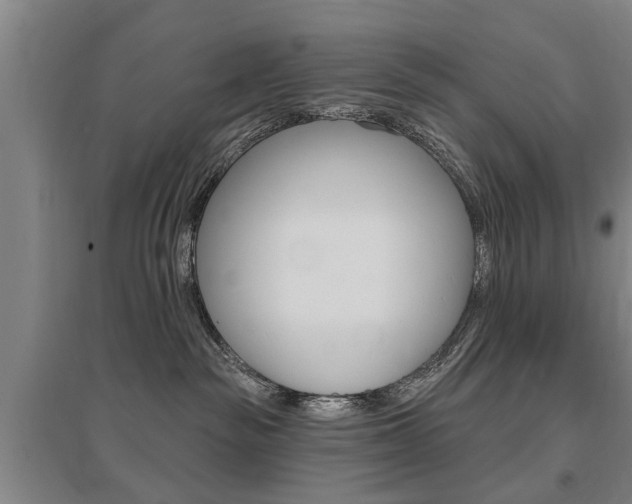 X0000095920189200801110903