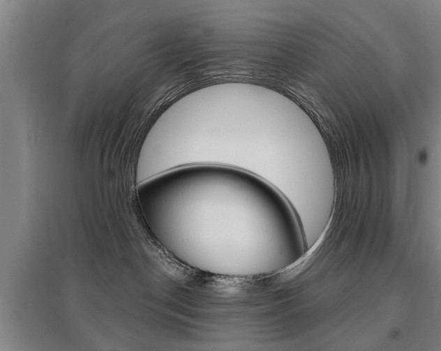 X0000095920190200801110903