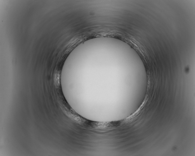 X0000095920191200801110903