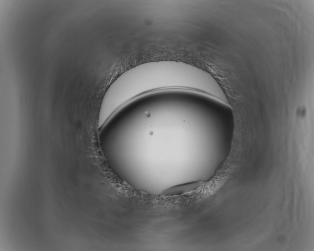 X0000095920192200801110903