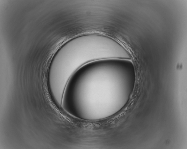 X0000095920193200801110902