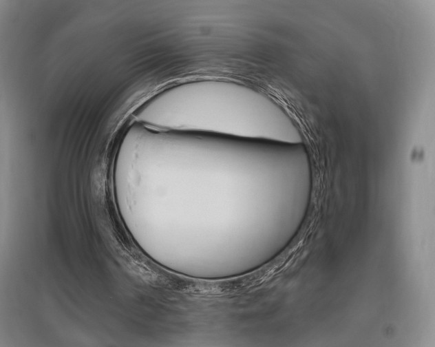 X0000095920194200801110902