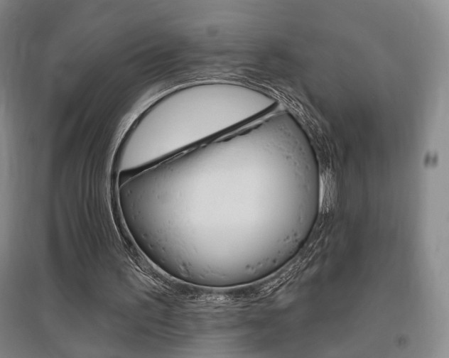 X0000095920195200801110902