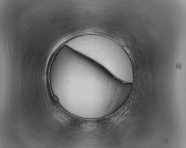X0000095920196200801110902
