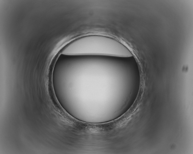 X0000095920199200801110902