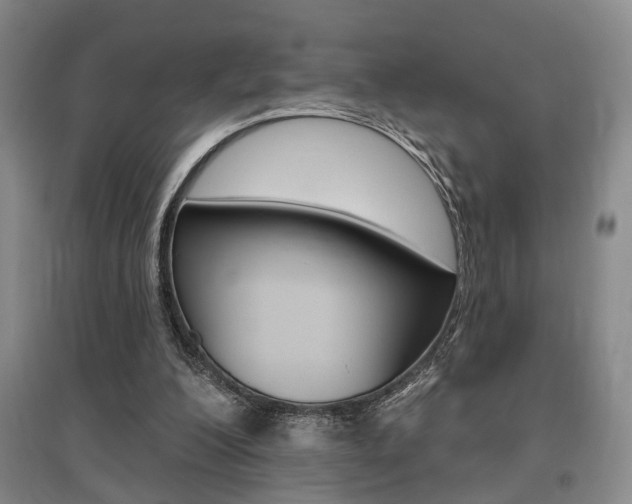 X0000095920200200801110902