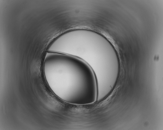 X0000095920201200801110902