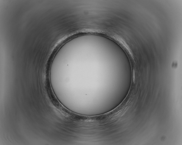 X0000095920204200801110902
