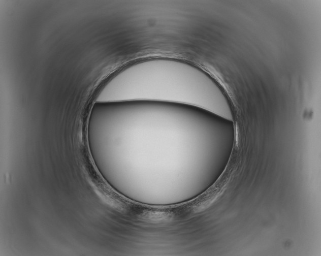 X0000095920205200801110902