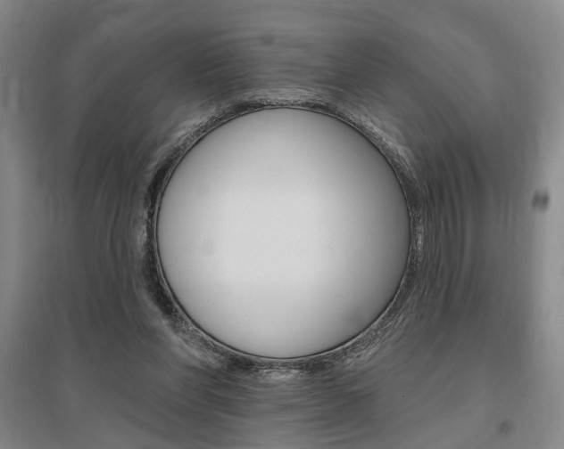 X0000095920206200801110902