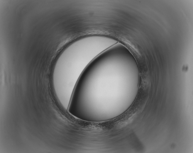 X0000095920207200801110902