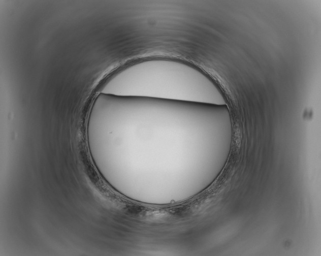 X0000095920208200801110902