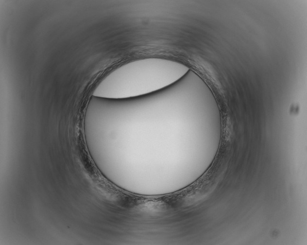 X0000095920210200801110902