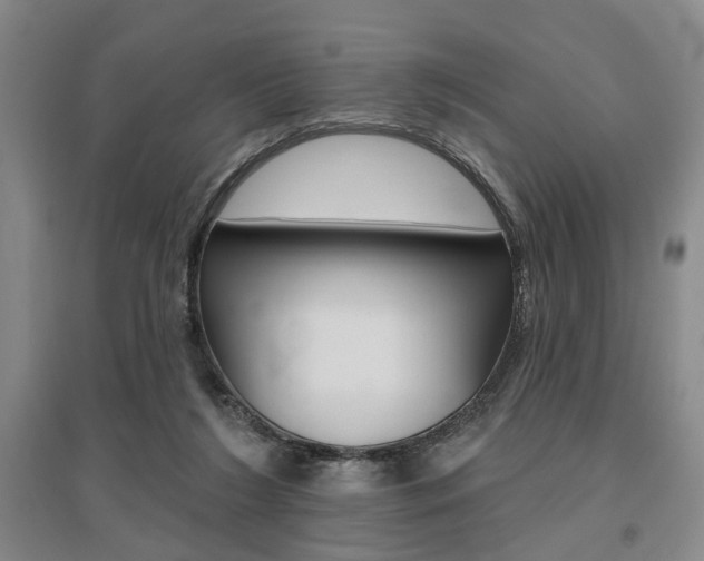 X0000095920212200801110902